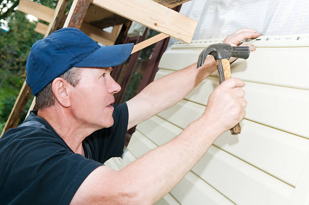 Best Stone Veneer Siding  in Lauderdale, MN