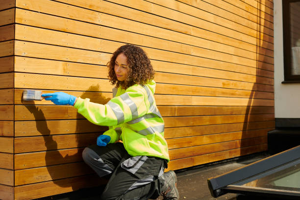 Storm Damage Siding Repair in Lauderdale, MN